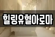 힐링유혈아로마