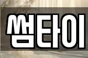 썸타이