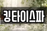 킹타이스파