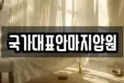 국가대표안마지압원