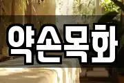 전라남도 담양군 마사지, 지압등 업체정보