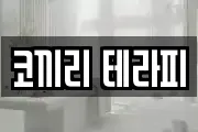 코끼리 테라피