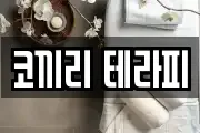 코끼리 테라피