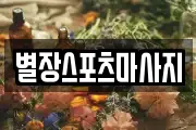 별장스포츠마사지