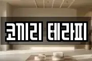 코끼리 테라피