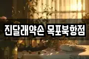 진달래약손 목포북항점