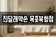 진달래약손 목포북항점