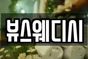 뷰스웨디시