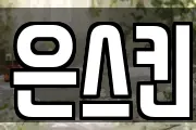 은스킨