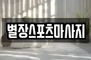 별장스포츠마사지