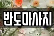 전라남도 무안군 몽탄면 마사지, 지압등 업체정보