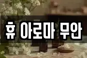 휴 아로마 무안