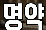명약