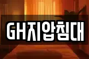 GH지압침대