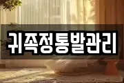 귀족정통발관리