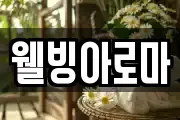웰빙아로마