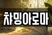 챠밍아로마