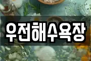 전라남도 신안군 지도읍 마사지, 지압등 업체정보