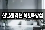 진달래약손 목포북항점