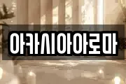 아카시아아로마