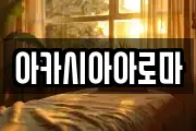 아카시아아로마