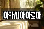 아카시아아로마