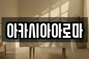 아카시아아로마
