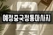예정중국정통마사지