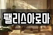 팰리스아로마