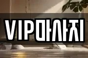 VIP마사지