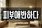 피부애반하다