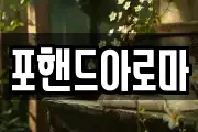 포핸드아로마