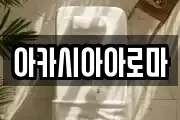 아카시아아로마