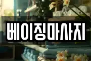 전라남도 완도군 완도읍 마사지, 지압등 업체정보