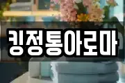 킹정통아로마