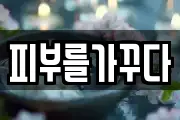 피부를가꾸다