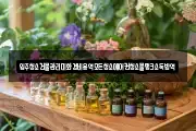 입주청소건물관리미화경비용역모든청소에어컨청소물탱크소독방역