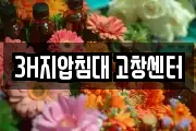 3H지압침대 고창센터