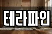 테라파인
