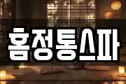 홈정통스파