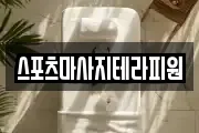스포츠마사지테라피원