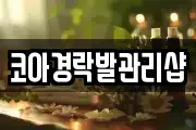 코아경락발관리샵