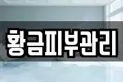 황금피부관리