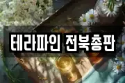 테라파인 전북총판