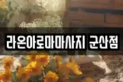 라온아로마마사지 군산점