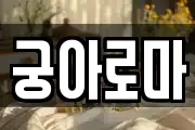 궁아로마
