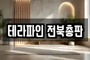 테라파인 전북총판