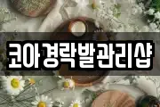 코아경락발관리샵