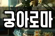 궁아로마