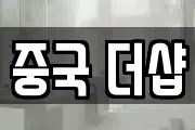 중국 더샵